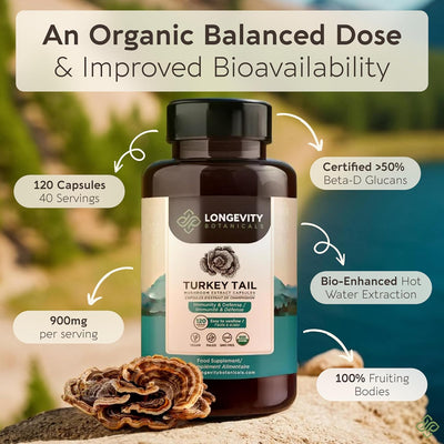 Organic Turkey Tail Mushroom Extract Capsules (120) | Concentrated 10:1 Ratio | 100% Fruiting Bodies | Trametes Versicolor Natural Supplement for Gut & Immune Support