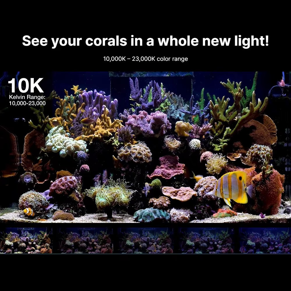 Redsea Reefled G2 Series New Version Smart WIFI Coral Aquarium Saltwater Light Red Sea G2 60 115 170