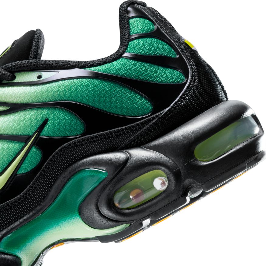 M Nike Air Max Plus DM0032-301