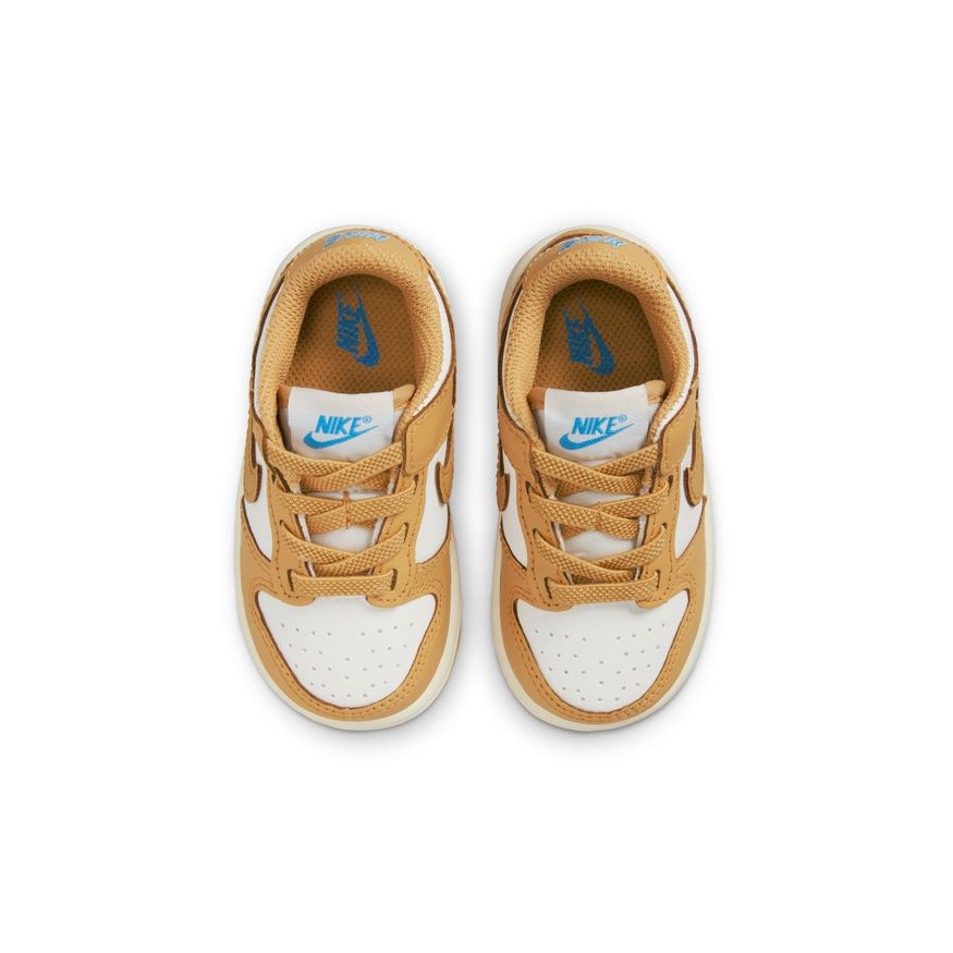 Y Nike Dunk Low FB9107-700