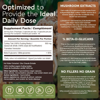 Organic Turkey Tail Mushroom Extract Capsules (120) | Concentrated 10:1 Ratio | 100% Fruiting Bodies | Trametes Versicolor Natural Supplement for Gut & Immune Support