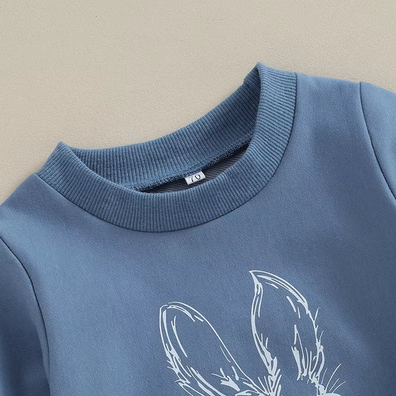 Toddler Boys Easter Pants Sets Blue Long Sleeve Sweatshirt Bunny Carrot Print Pants Sets