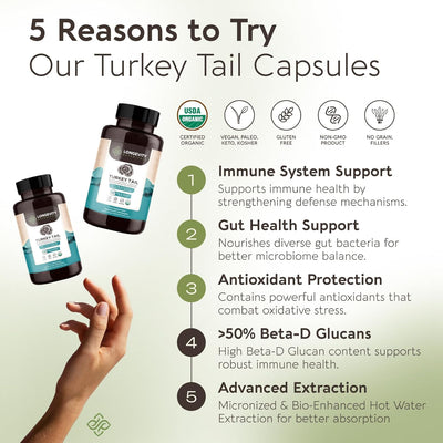 Organic Turkey Tail Mushroom Extract Capsules (120) | Concentrated 10:1 Ratio | 100% Fruiting Bodies | Trametes Versicolor Natural Supplement for Gut & Immune Support